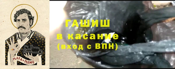 крисы Ельня