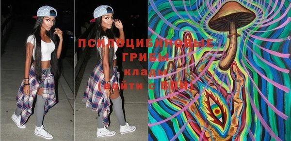 крисы Ельня