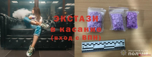 крисы Ельня
