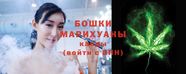 крисы Ельня