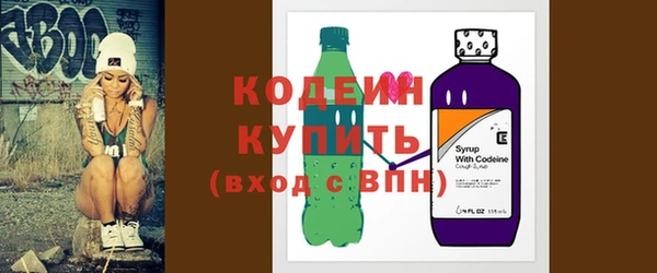 крисы Ельня