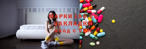 крисы Ельня