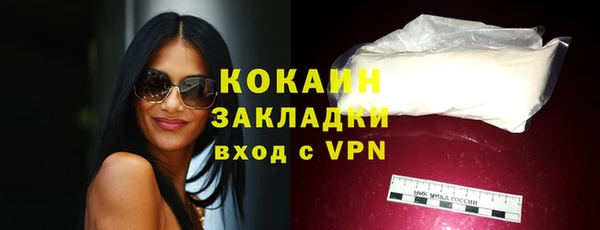 крисы Ельня