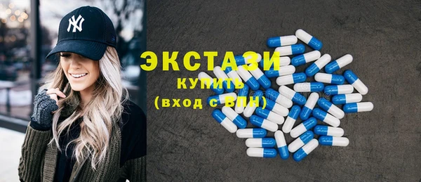 крисы Ельня