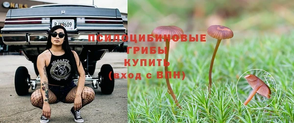 крисы Ельня