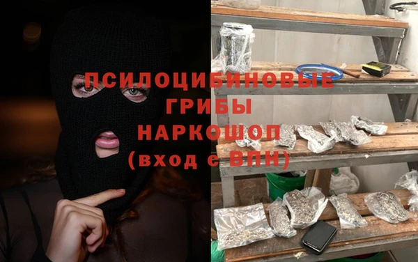 крисы Ельня