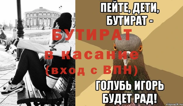 крисы Ельня