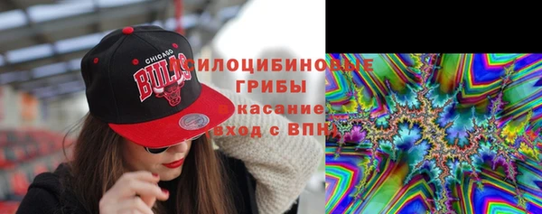 спайс Елабуга