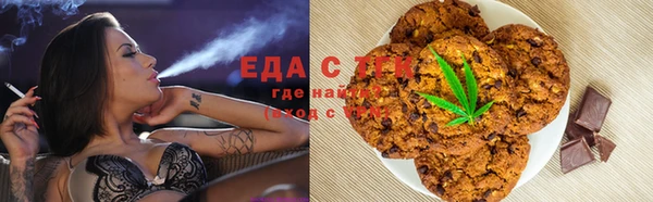 крисы Ельня