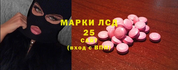 крисы Ельня