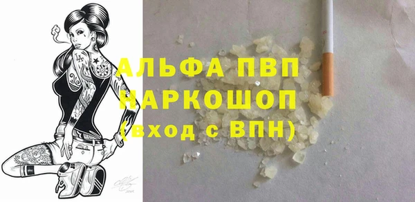 крисы Ельня